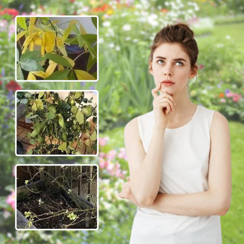 Universal Plant & Flower Activation Liquid Solution
