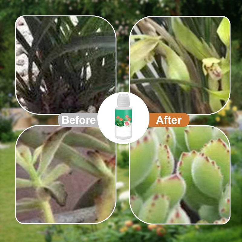 Universal Plant & Flower Activation Liquid Solution