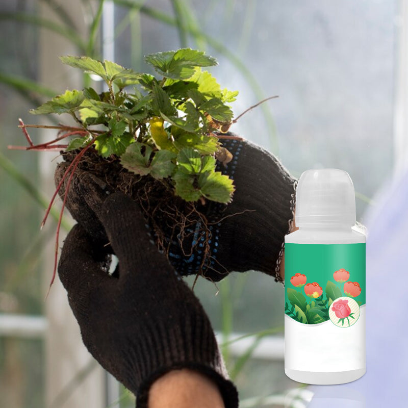 Universal Plant & Flower Activation Liquid Solution