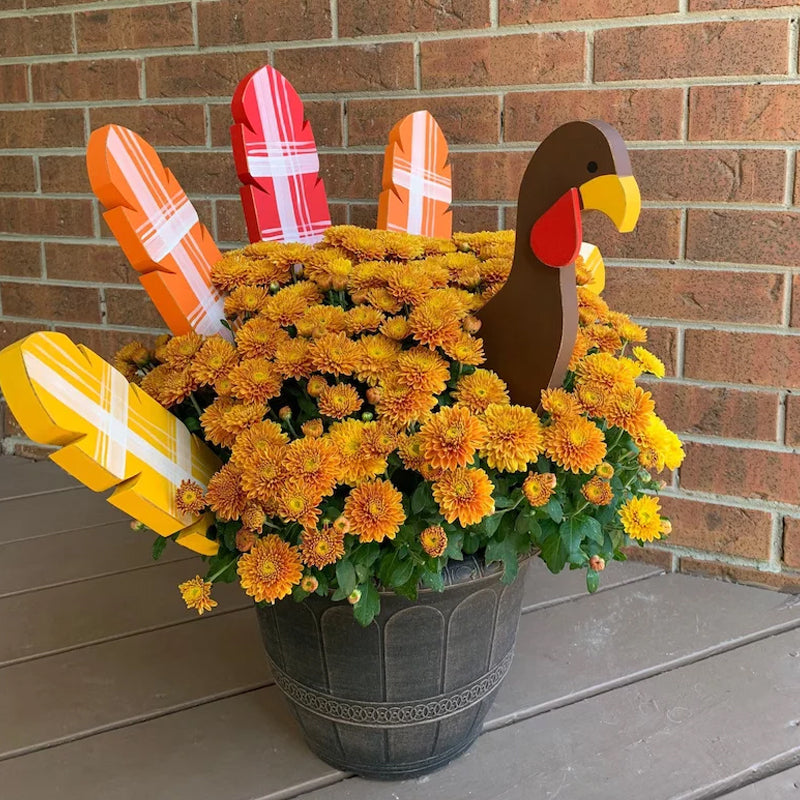 (🎁2023-Thanksgiving Hot Sale🎁)🔥 49% OFF🔥🐔Fall Decor Thanksgiving Turkey