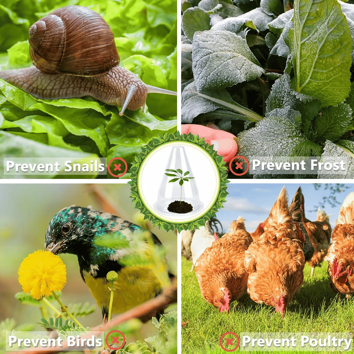 💥Hot Sales-50% OFF🌿Gardening Greenhouse Plant Covers 🌱