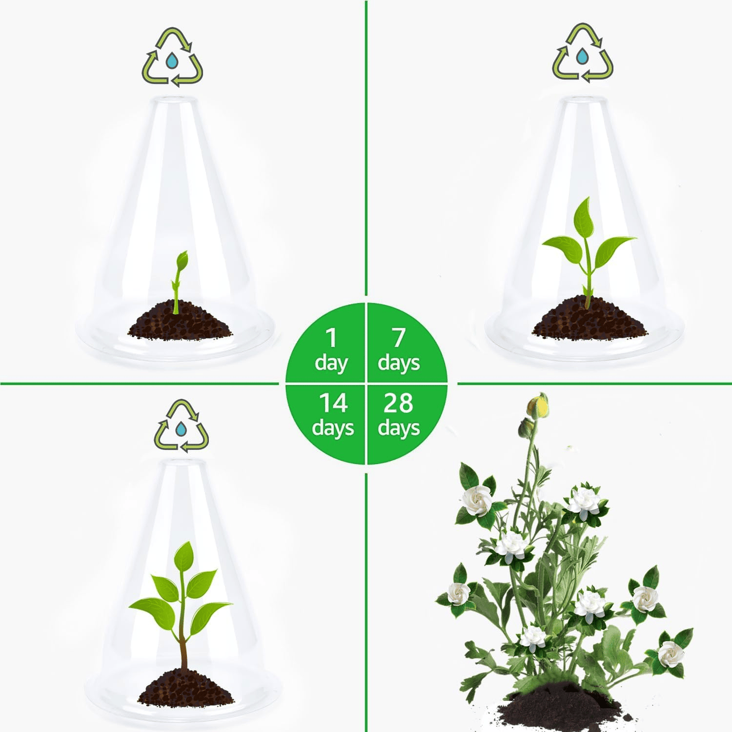 💥Hot Sales-50% OFF🌿Gardening Greenhouse Plant Covers 🌱