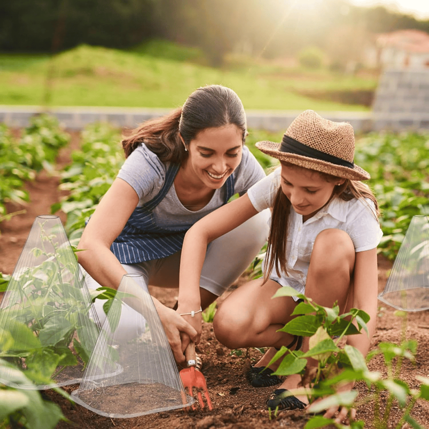💥Hot Sales-50% OFF🌿Gardening Greenhouse Plant Covers 🌱