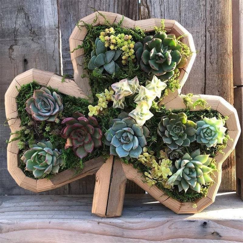 🔥BUY 2 GET 10% OFF💝Animal Succulent Garden Arrangement