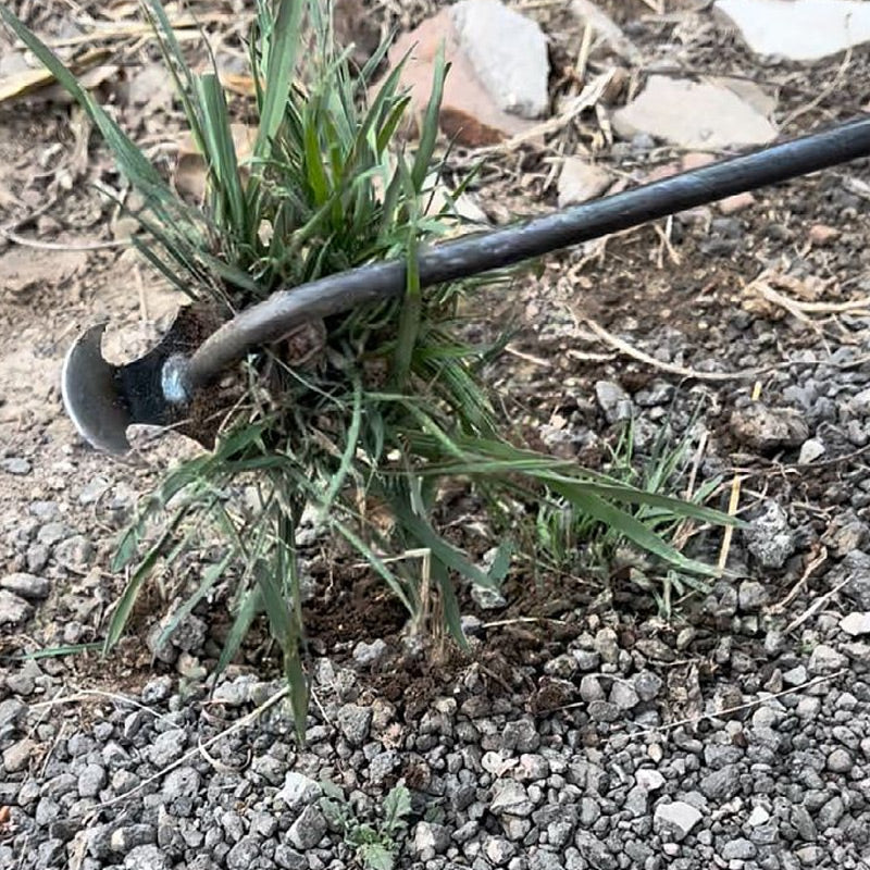 🌿✨ Gardening Hand Weeder Tools👩🌾BUY 1 GET 1 Free
