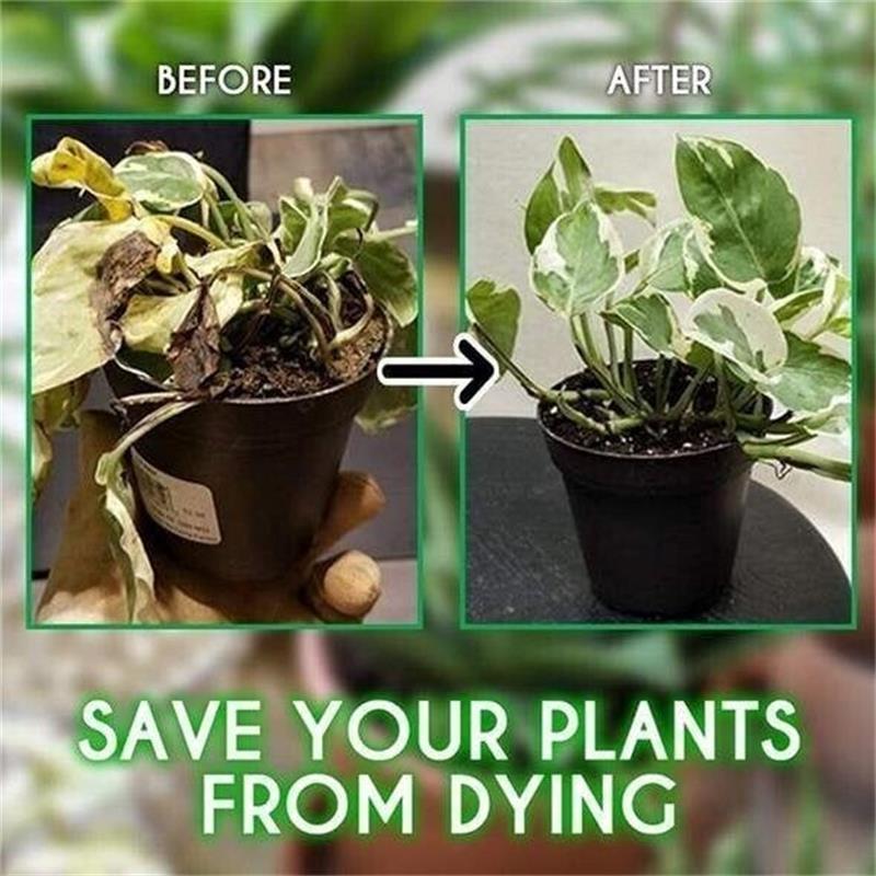 🔥HOT SALE 50% OFF🔥Magic Hydroponic Lliquid Fertilizer