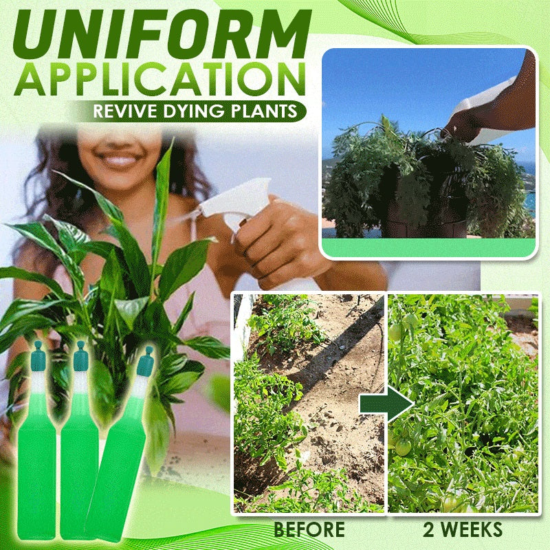 🔥HOT SALE 50% OFF🔥Magic Hydroponic Lliquid Fertilizer