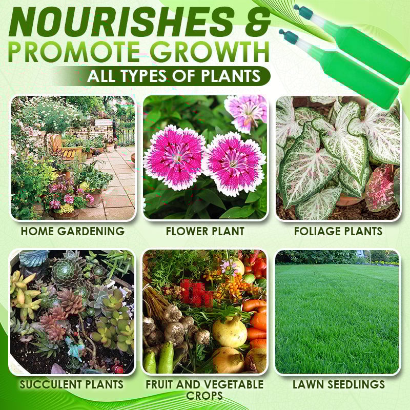🔥HOT SALE 50% OFF🔥Magic Hydroponic Lliquid Fertilizer