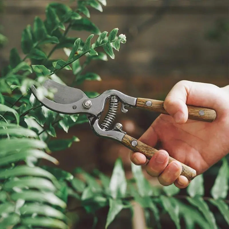 👍Good tools for gardening - Heavy-Duty Sharp Pruning Shear