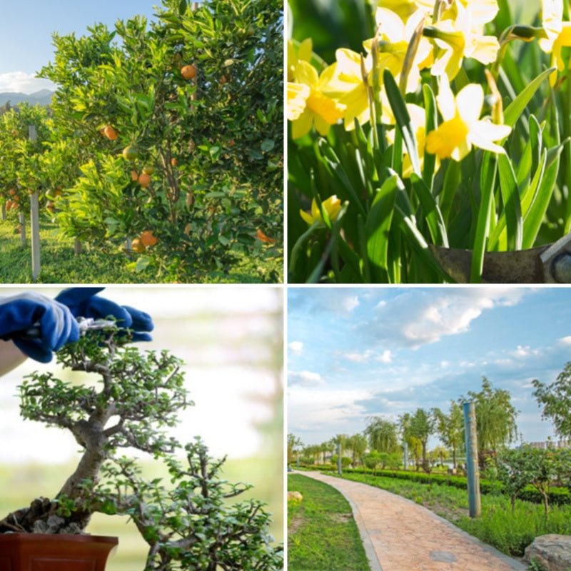 👍Good tools for gardening - Heavy-Duty Sharp Pruning Shear