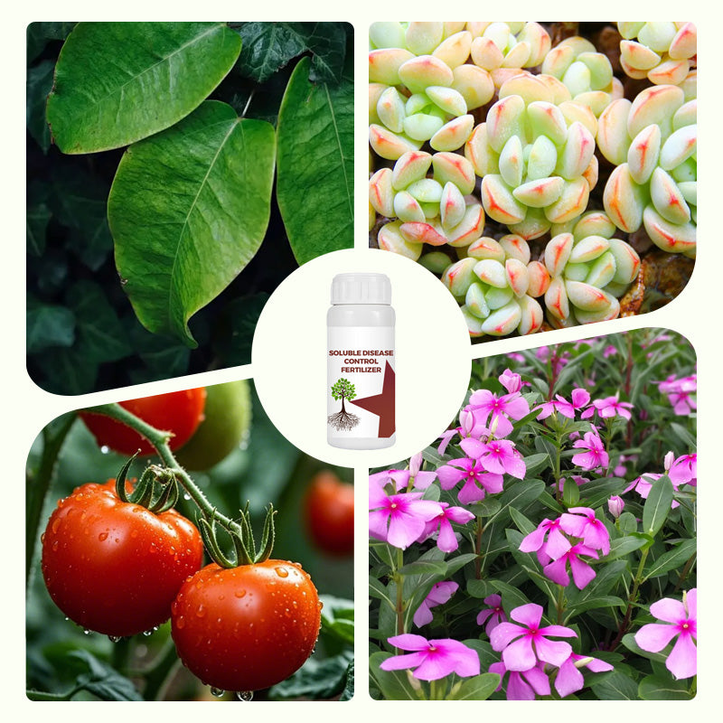 Soluble Disease Control Fertilizer