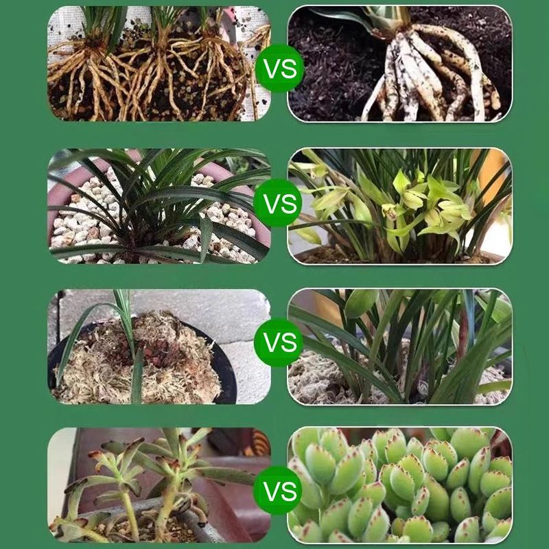 Plant and Flower Activation Liquid Solution