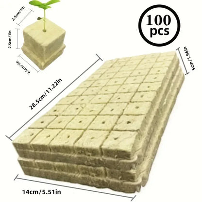Soilless Cultivation Seedlings