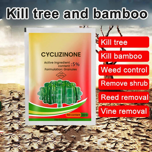 💥King of Bamboo Cleaning Rotten Roots