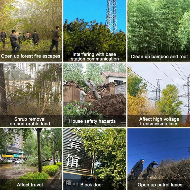 💥King of Bamboo Cleaning Rotten Roots