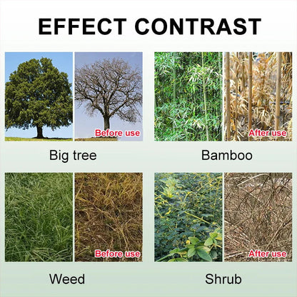 💥King of Bamboo Cleaning Rotten Roots