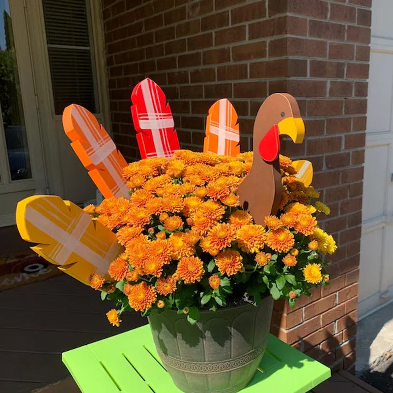 (🎁2023-Thanksgiving Hot Sale🎁)🔥 49% OFF🔥🐔Fall Decor Thanksgiving Turkey