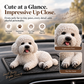 Ornamento per auto Barboncino – L'aggiornamento più carino per il cruscotto 🐶✨
