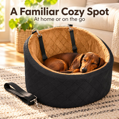 Seggiolino auto per cani e trasportino portatile per animali domestici