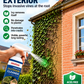 📢Offerta a tempo limitato: 50% di sconto!🏆 Detergente per pietre multiuso – Elimina efficacemente muschio, macchie nere e depositi di calcare, rimuove senza sforzo anche le erbacce che crescono nelle fessure e nelle giunture