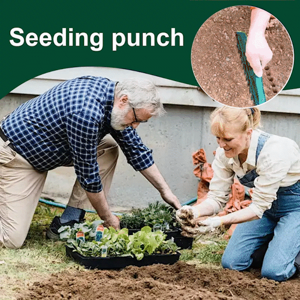 🌱 Sconto del 50% – Spaziatore e piantatore per semi da giardino, strumento di semina preciso a 12 fori