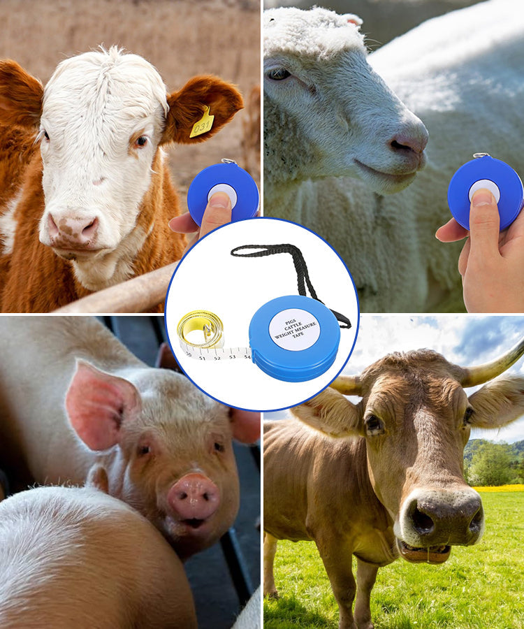 🐄 Nastro di misurazione del peso del bestiame