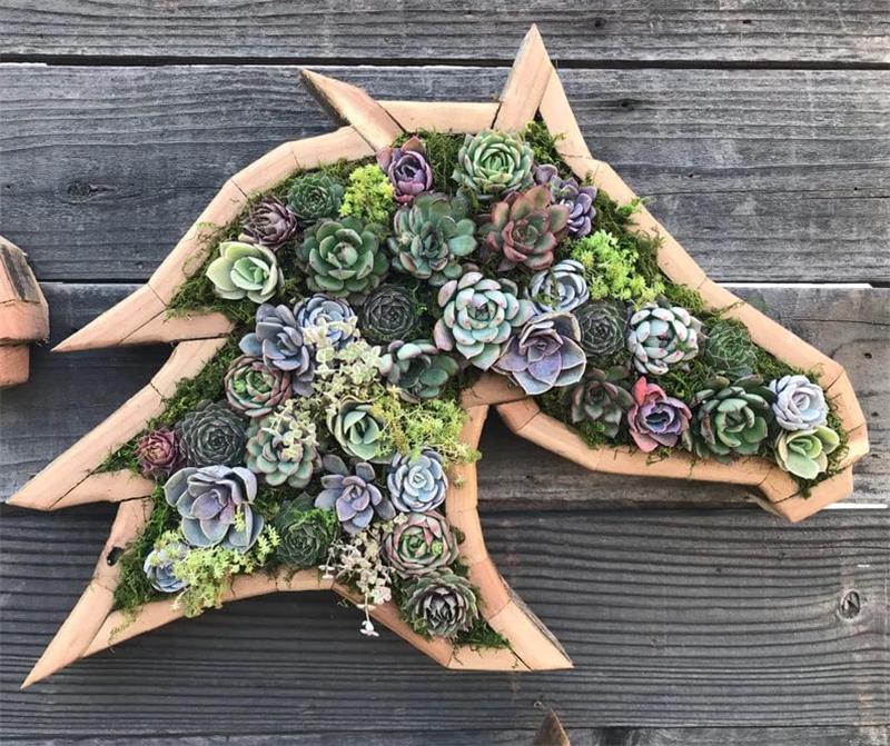 🔥BUY 2 GET 10% OFF💝Animal Succulent Garden Arrangement
