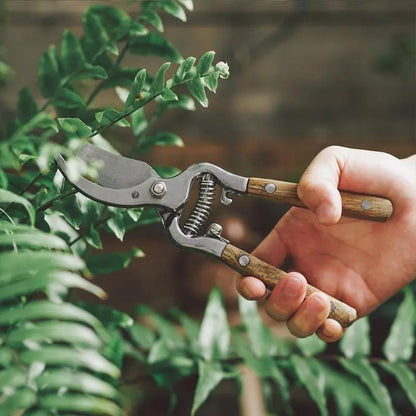 👍Good tools for gardening - Heavy-Duty Sharp Pruning Shear