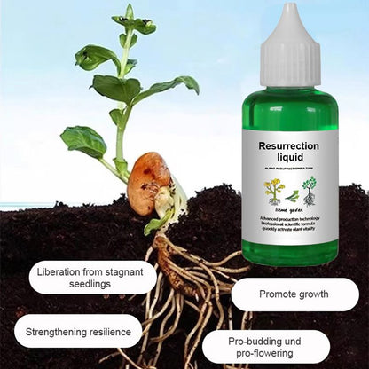 Plant and Flower Activation Liquid Solution