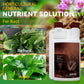 Soluzione nutritiva generale per orticoltura per radic