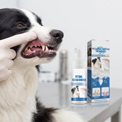 ✨ OFFERTA SPECIALE 50% DI SCONTO! 🐾 Schiuma rimuovi tartaro per animali domestici – Formula naturale e utilizzo semplice!