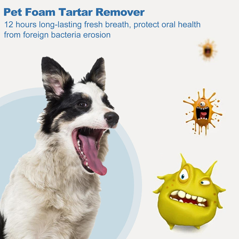 ✨ OFFERTA SPECIALE 50% DI SCONTO! 🐾 Schiuma rimuovi tartaro per animali domestici – Formula naturale e utilizzo semplice!
