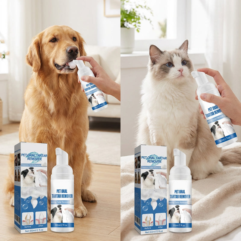 ✨ OFFERTA SPECIALE 50% DI SCONTO! 🐾 Schiuma rimuovi tartaro per animali domestici – Formula naturale e utilizzo semplice!
