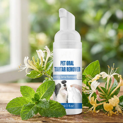 ✨ OFFERTA SPECIALE 50% DI SCONTO! 🐾 Schiuma rimuovi tartaro per animali domestici – Formula naturale e utilizzo semplice!