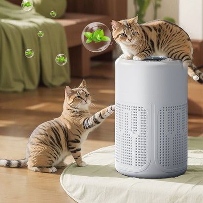 🎁Novità 2026: SCONTO DEL 50%💥🌬️ Purificatore d'aria compatto per la casa – Elimina gli odori degli animali domestici e purifica l'aria 🐾