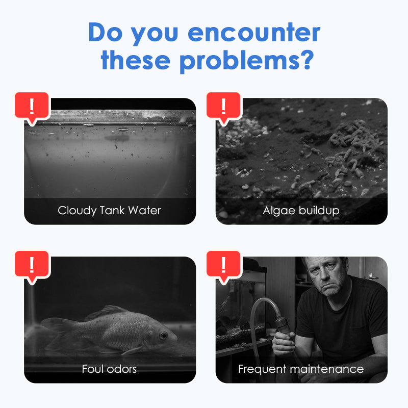 💧Pastiglie effervescenti per la purificazione dell'acqua di acquari e laghetti🔥