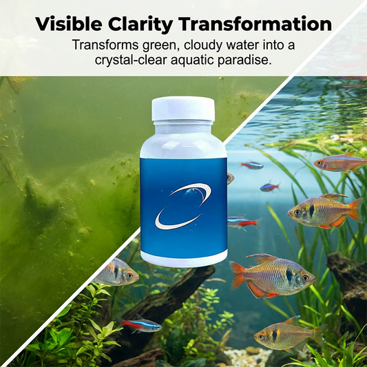 💧Pastiglie effervescenti per la purificazione dell'acqua di acquari e laghetti🔥