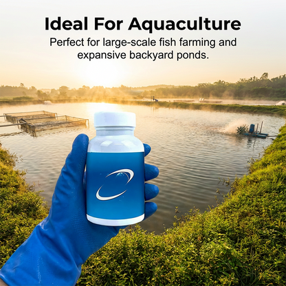 💧Pastiglie effervescenti per la purificazione dell'acqua di acquari e laghetti🔥