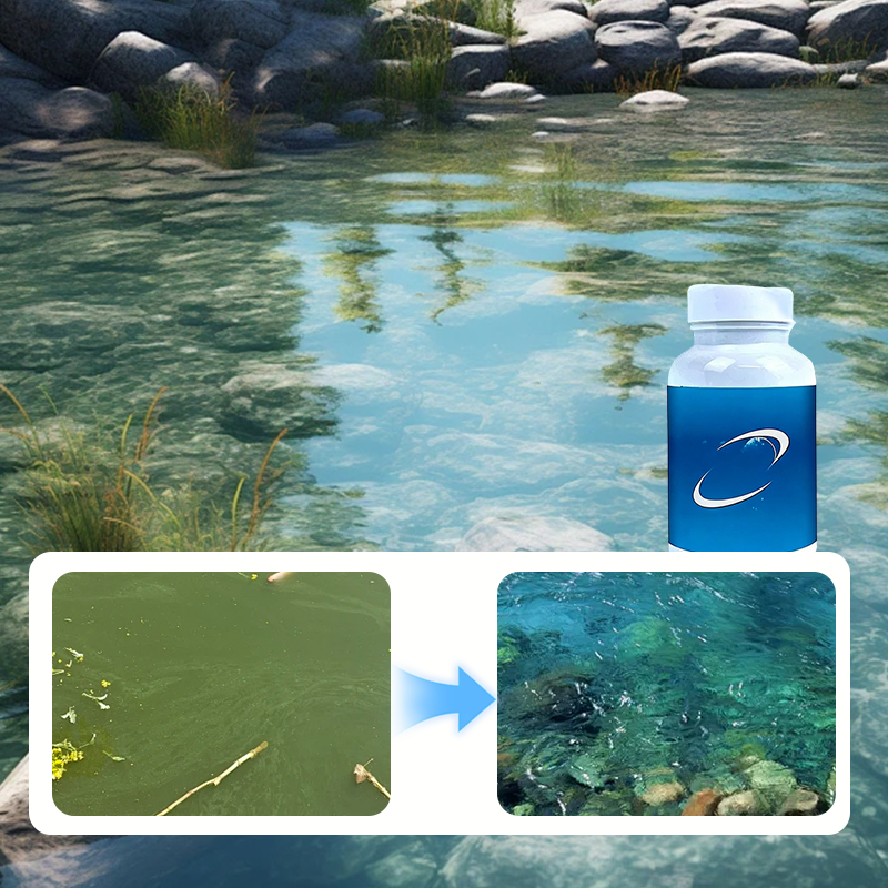 💧Pastiglie effervescenti per la purificazione dell'acqua di acquari e laghetti🔥