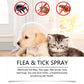 🍃Natural Flea & Tick Spray for Dogs and Cats🐾 Keep Your Beloved Pet Free from Pests