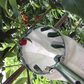 📢📢 50% DI SCONTO !! ⏰ Testa Cesto Raccogli Frutta – Progettazione Resistente, Montaggio Semplice, Ideale per Raggiungere i Rami Alti Senza Scala 🌳
