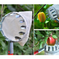 📢📢 50% DI SCONTO !! ⏰ Testa Cesto Raccogli Frutta – Progettazione Resistente, Montaggio Semplice, Ideale per Raggiungere i Rami Alti Senza Scala 🌳