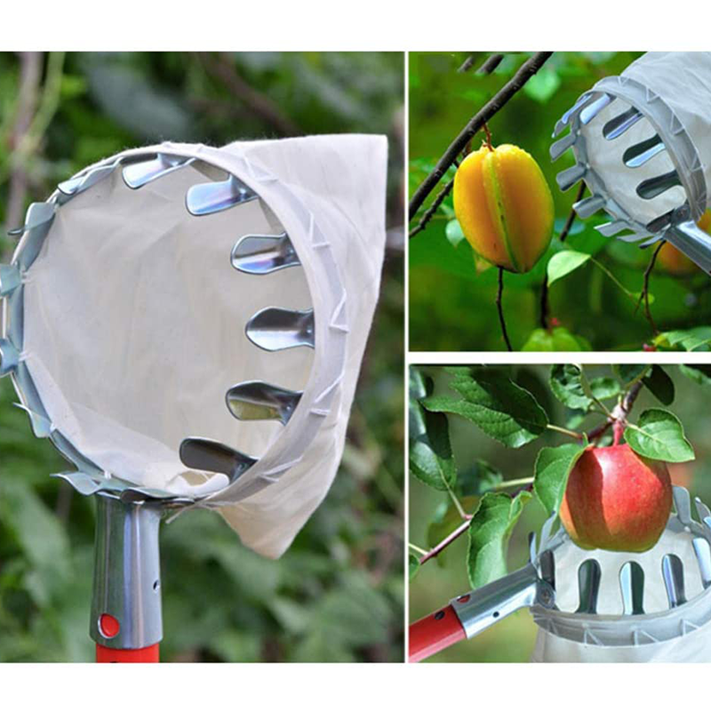 📢📢 50% DI SCONTO !! ⏰ Testa Cesto Raccogli Frutta – Progettazione Resistente, Montaggio Semplice, Ideale per Raggiungere i Rami Alti Senza Scala 🌳