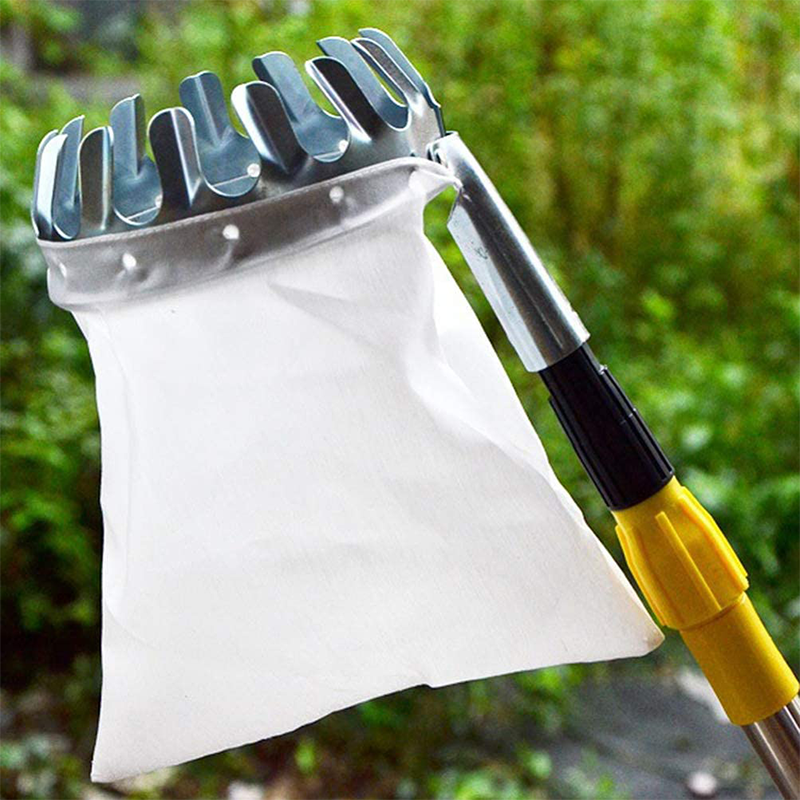 📢📢 50% DI SCONTO !! ⏰ Testa Cesto Raccogli Frutta – Progettazione Resistente, Montaggio Semplice, Ideale per Raggiungere i Rami Alti Senza Scala 🌳