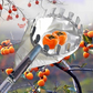 📢📢 50% DI SCONTO !! ⏰ Testa Cesto Raccogli Frutta – Progettazione Resistente, Montaggio Semplice, Ideale per Raggiungere i Rami Alti Senza Scala 🌳