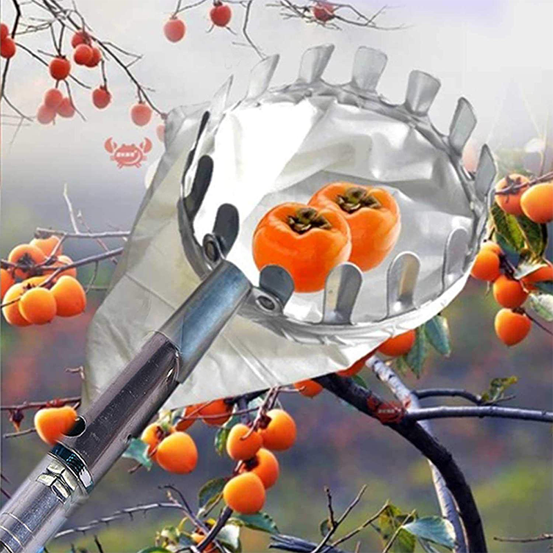 📢📢 50% DI SCONTO !! ⏰ Testa Cesto Raccogli Frutta – Progettazione Resistente, Montaggio Semplice, Ideale per Raggiungere i Rami Alti Senza Scala 🌳