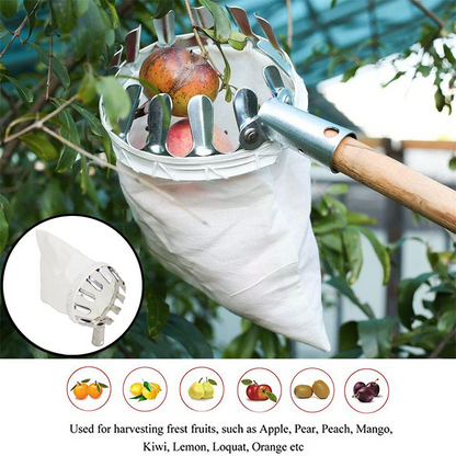 📢📢 50% DI SCONTO !! ⏰ Testa Cesto Raccogli Frutta – Progettazione Resistente, Montaggio Semplice, Ideale per Raggiungere i Rami Alti Senza Scala 🌳