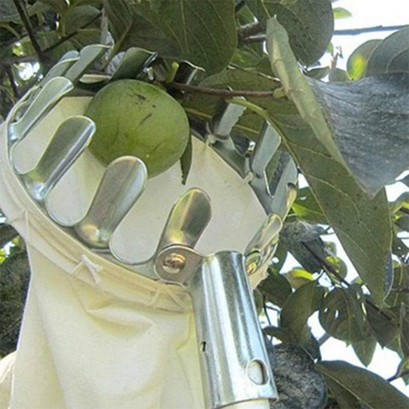 📢📢 50% DI SCONTO !! ⏰ Testa Cesto Raccogli Frutta – Progettazione Resistente, Montaggio Semplice, Ideale per Raggiungere i Rami Alti Senza Scala 🌳