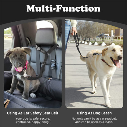 🐕🦺Cintura di sicurezza e guinzaglio 2 in 1 per cani