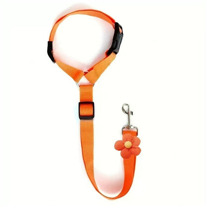 🐕🦺Cintura di sicurezza e guinzaglio 2 in 1 per cani